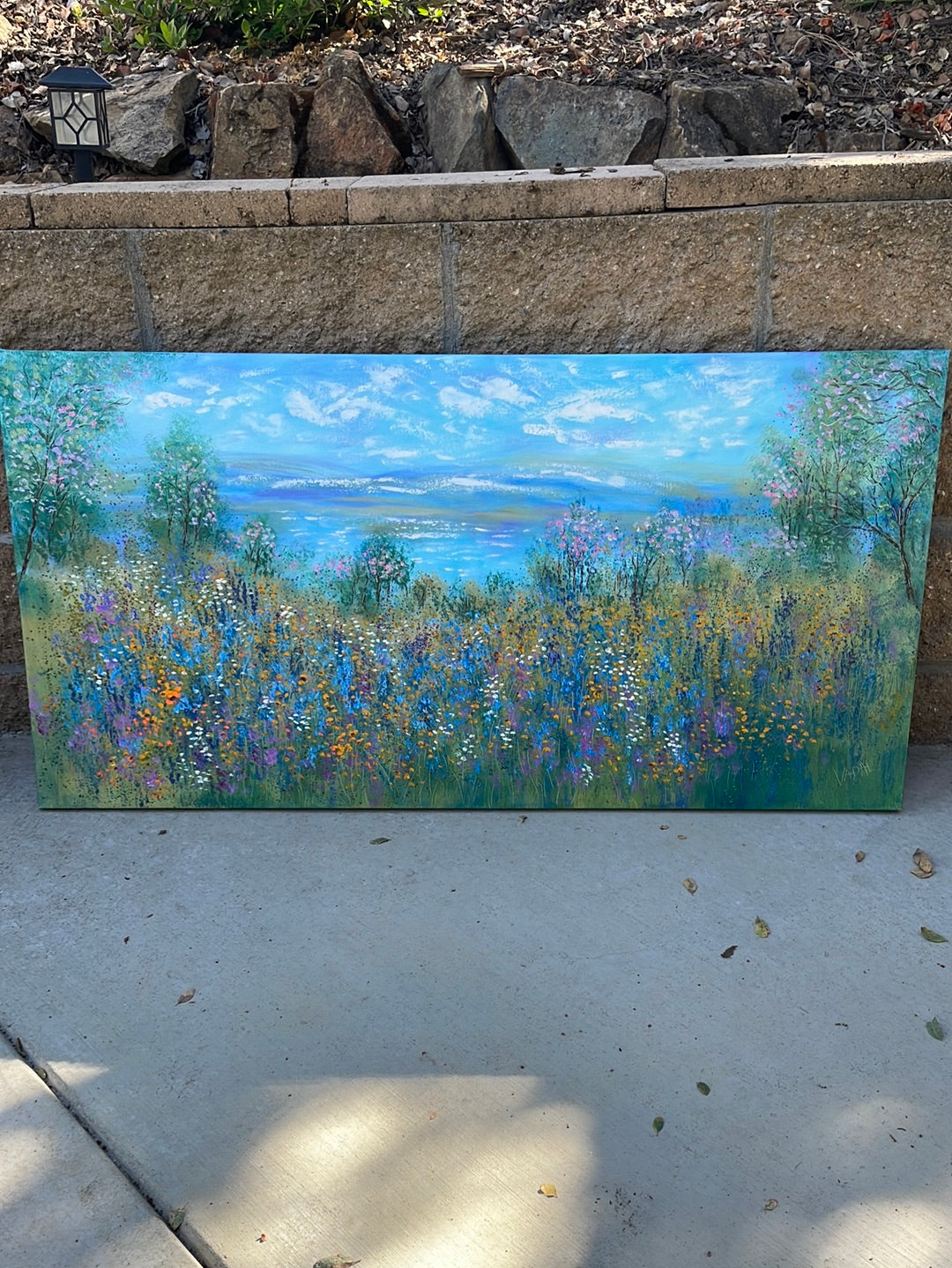 Original painting - California springtime meadow pond & wildflowers- oil -24 x 48 x1